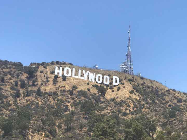 Retour de lune de miel 👌🏼❤️ - 10