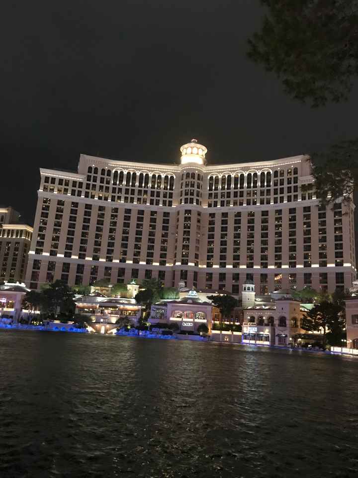 Retour de lune de miel 👌🏼❤️ - 18