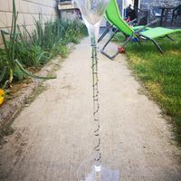 1Er achat déco - 2
