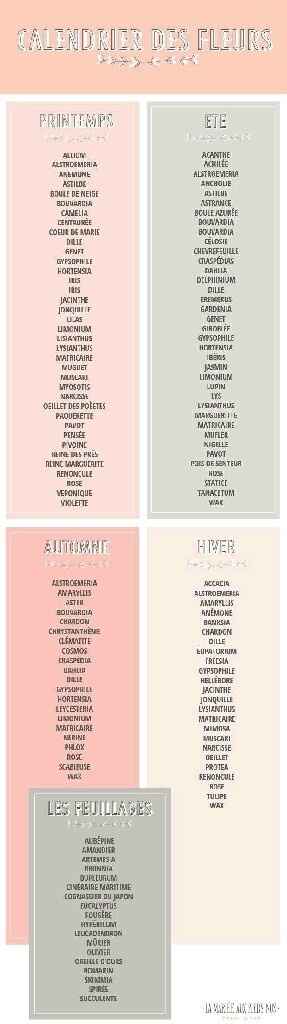 Envie de pleurer, grosse déception... - 1