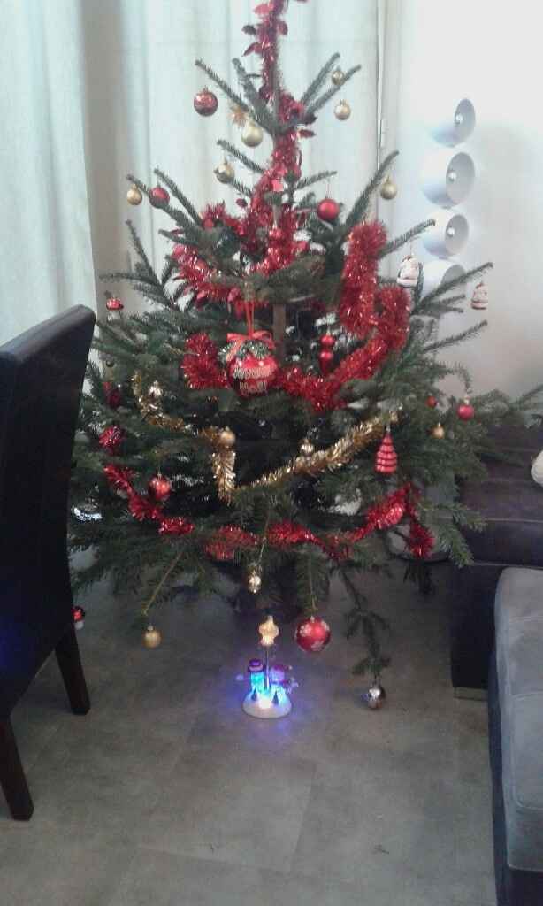 A vos sapins !!! - 1