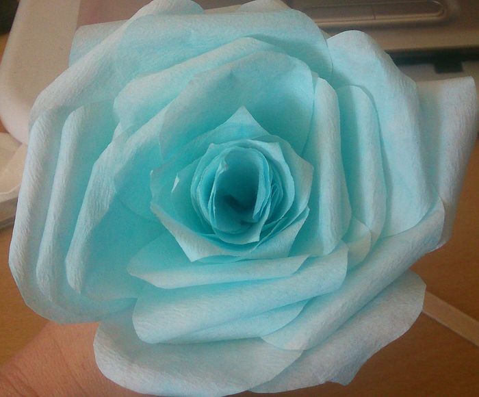 Ma première fleur