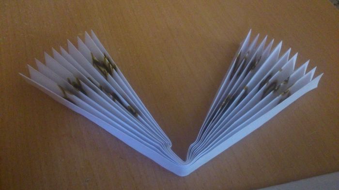 Tuto Eventail6