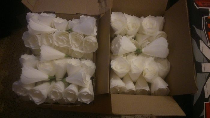 Roses filtres