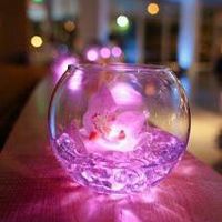 Thème fushia anthracite - 2