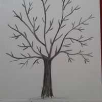 Ou avez vous acheter vos arbres a empreinte ? - 1