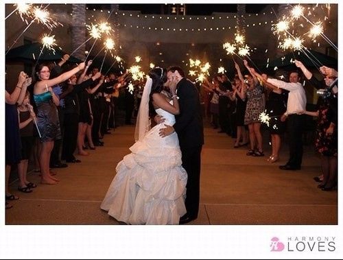 Recherche activité nocturne !! 1