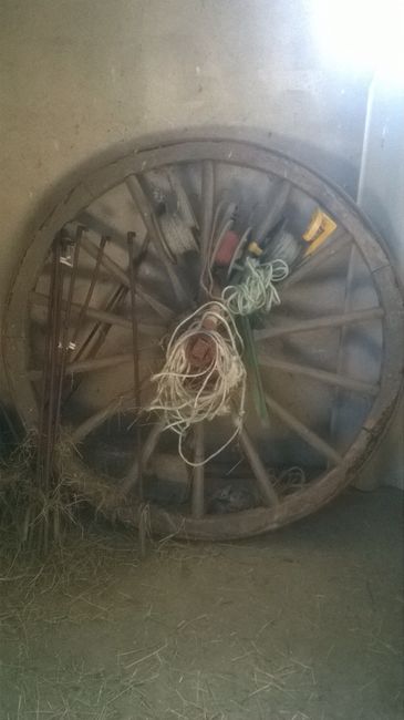 Pour de la déco champêtre : sans acheter ! - 2