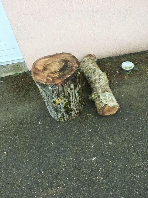 Test centres de table 5