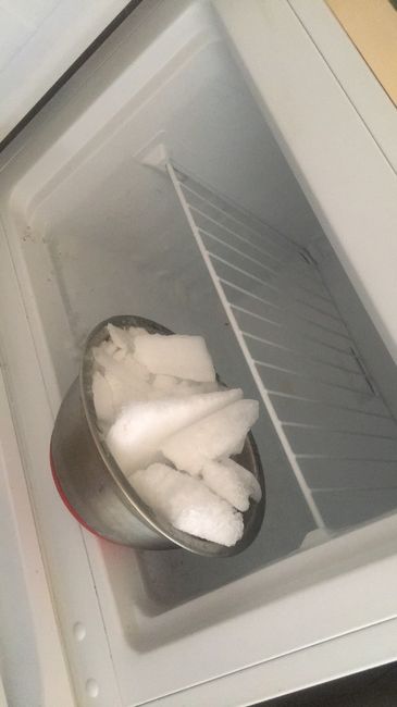 Roses (eau et pétales), diy et Zéro déchets 5