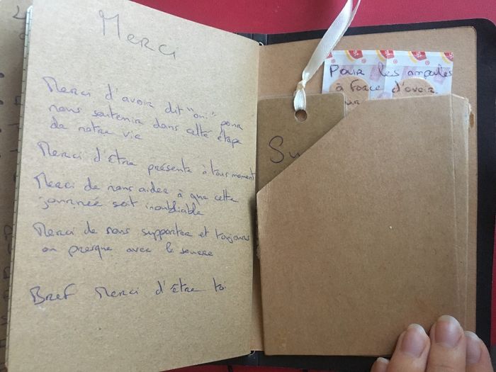 Carnet Guide du  Super Témoin - 14