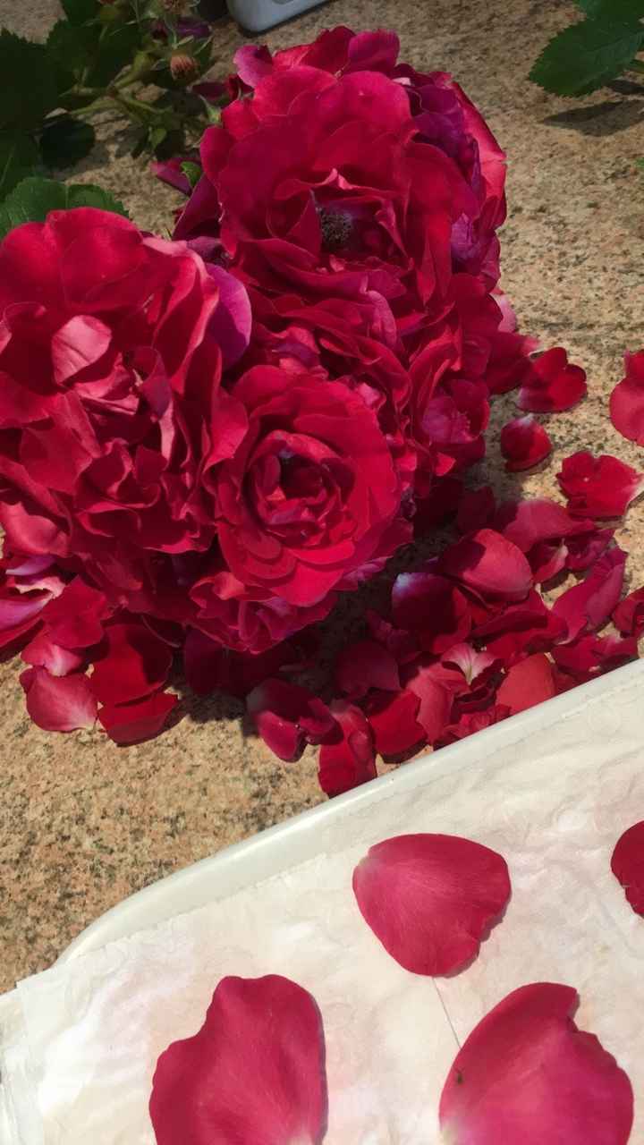 Roses (eau et pétales), diy et Zéro déchets - 1