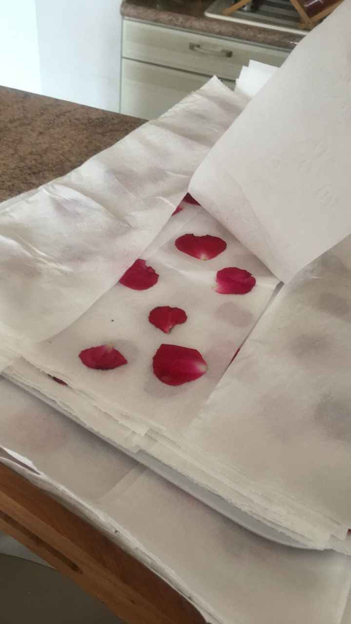 Roses (eau et pétales), diy et Zéro déchets - 2