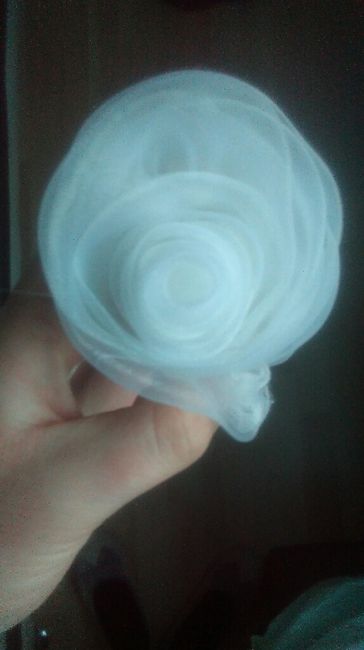 Essais rose en organza - 2