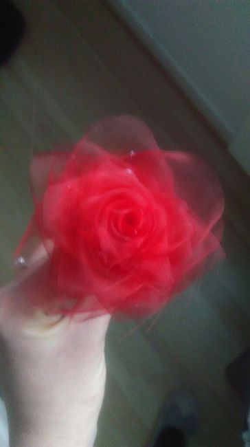 Essais rose en organza - 3