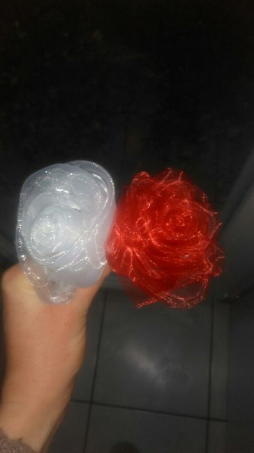 Essais rose en organza - 5