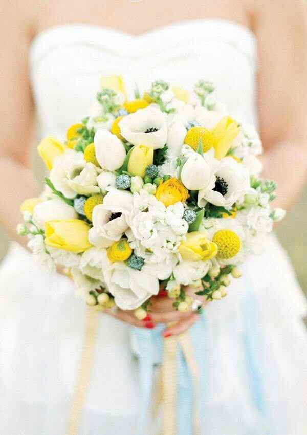 Craspédia ici et là - 4