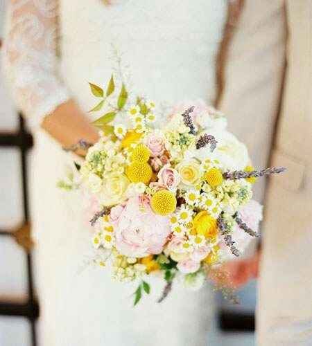 Craspédia ici et là - 13