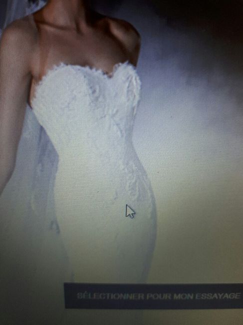 Cherche ce style de robe en ile de france - 2