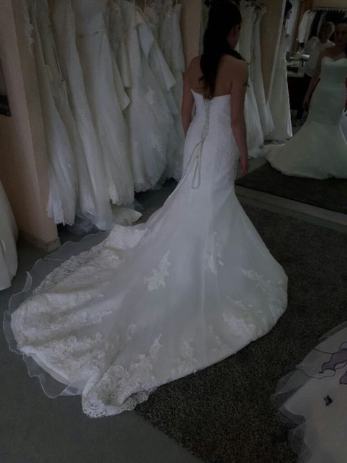 Pour ceux qui on suivis mon hésitation ma robe la voici - 1