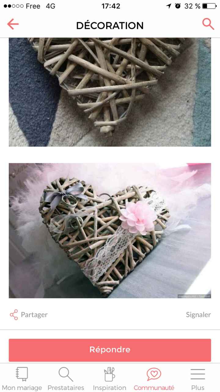  Idée de coussin d'alliance - 1