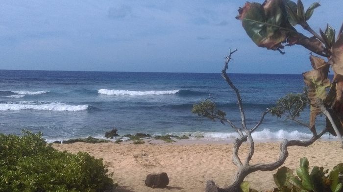 sandy beach