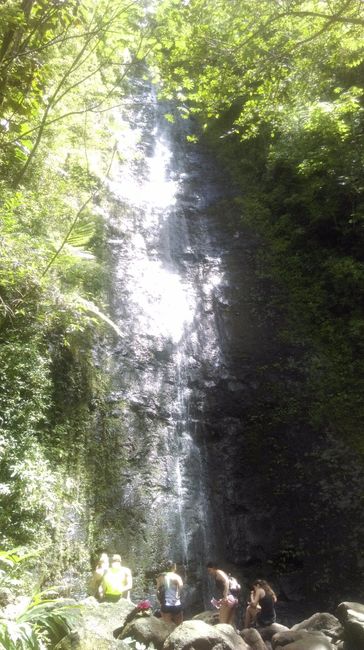 manoa falls