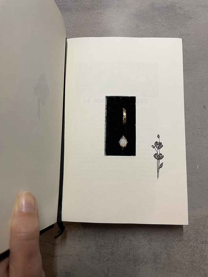 Porte-alliances livre - 2