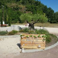 Déco de salle mariage 6/7/19 - 1