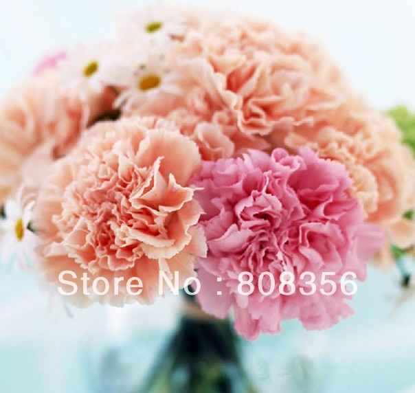 Dégradé d'orange pour les oeillets