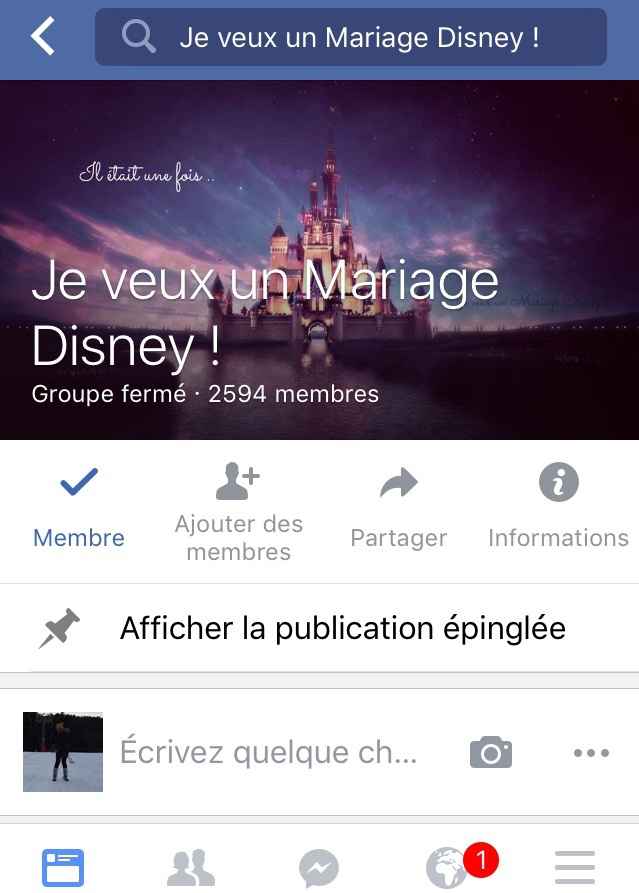 Mariage disney - 1