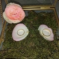 Un mariage de rêve - 4