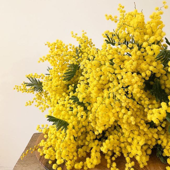 Bouquet pour un mariage en Février 2