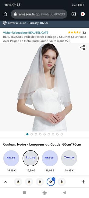 Dilemme de voile 👰 - 4