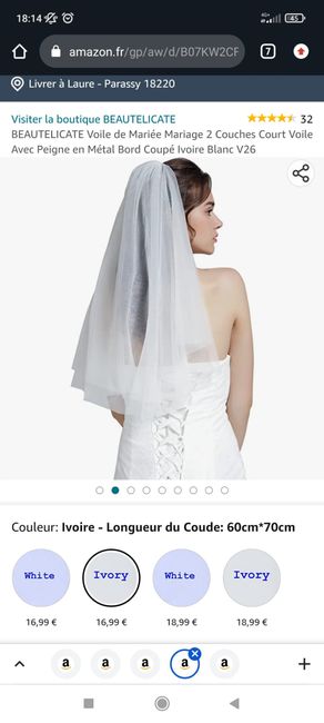 Dilemme de voile 👰 - 5