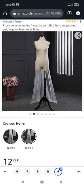 Dilemme de voile 👰 - 7