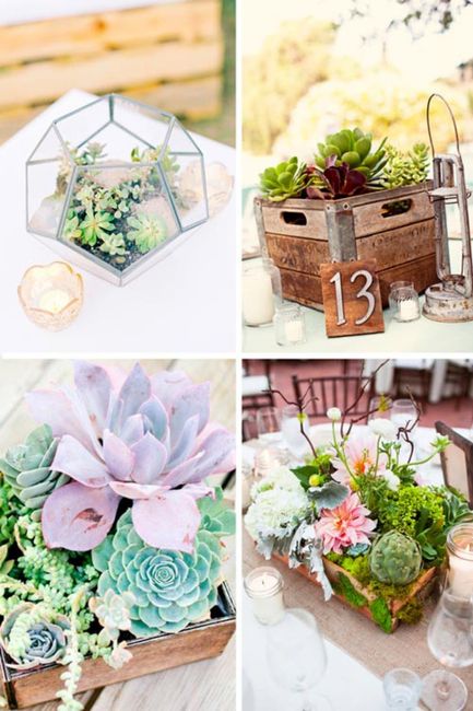 Inspirations déco plantes grasses - 4
