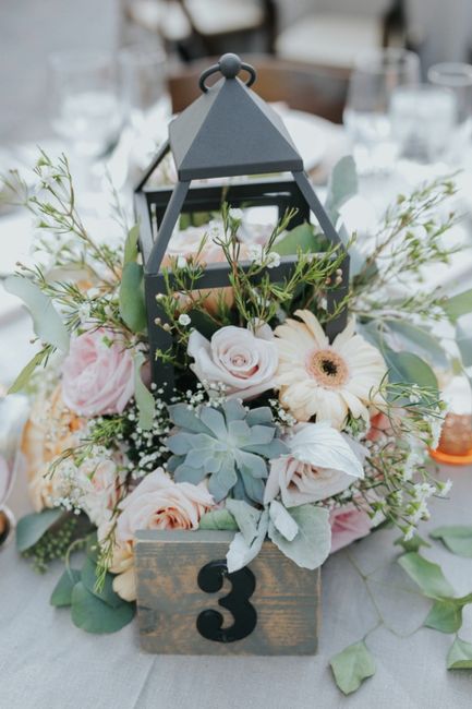 Inspirations déco plantes grasses - 6