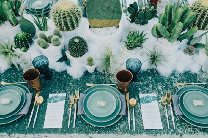 Inspirations déco plantes grasses 11