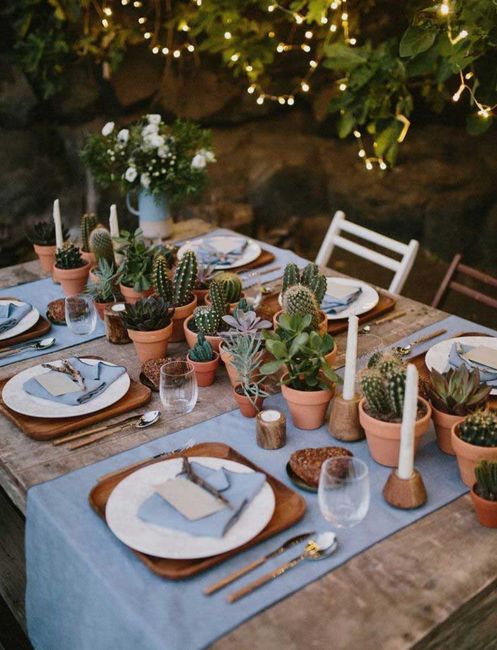 Inspirations déco plantes grasses 13