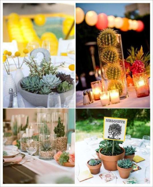 Inspirations déco plantes grasses 14