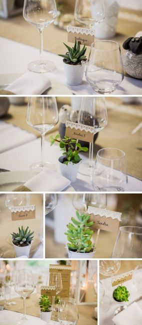 Inspirations déco plantes grasses 3