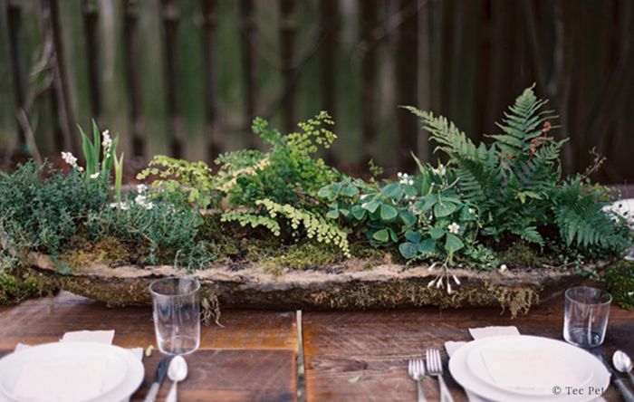Inspirations déco plantes grasses 15