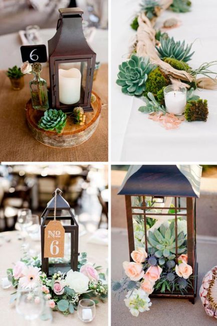 Inspirations déco plantes grasses 17