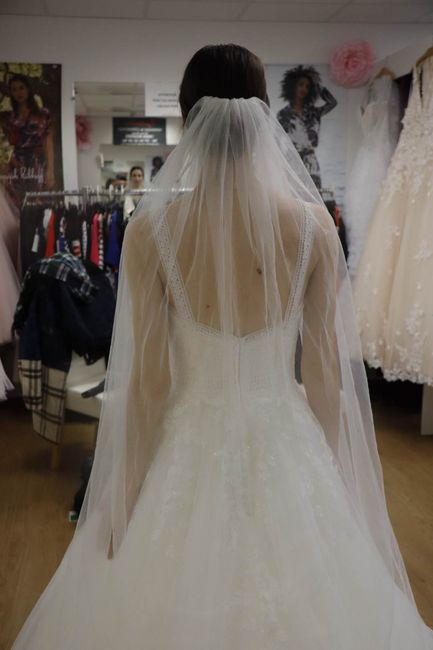 Voile : motifs ? Uni ? Longueur ? 8