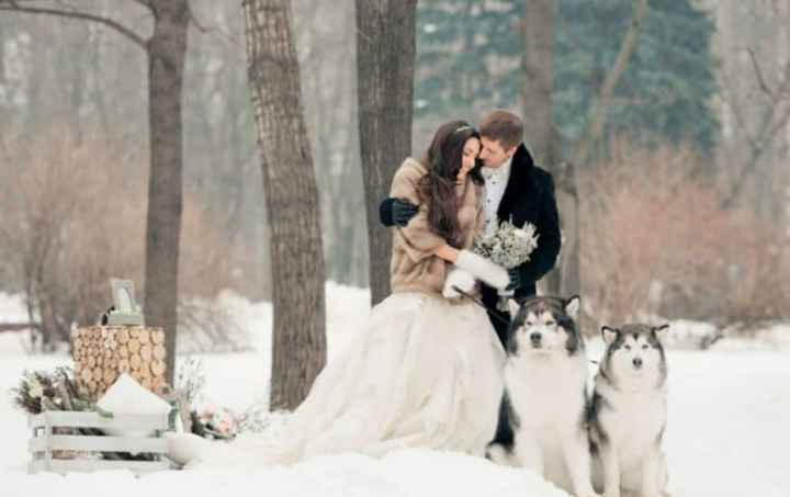 Mariage hivernal 🥶❄️ - 6