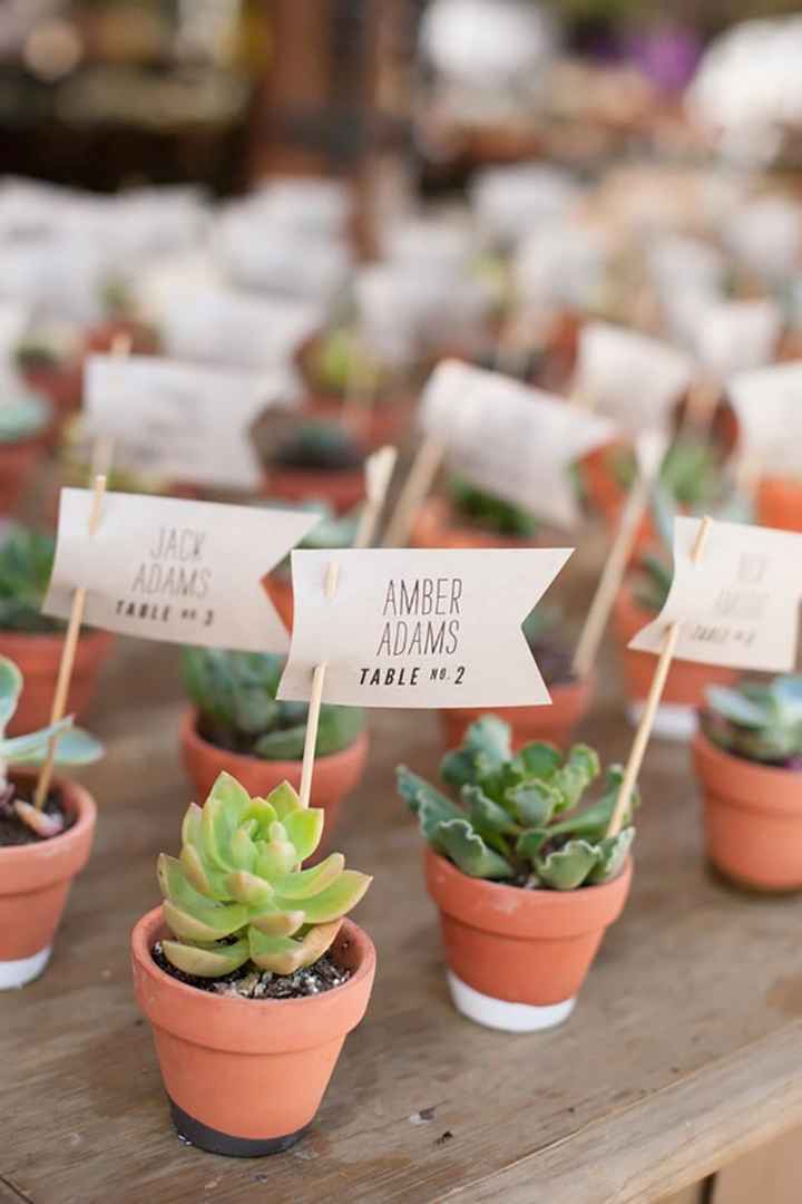 Inspirations déco plantes grasses - 1