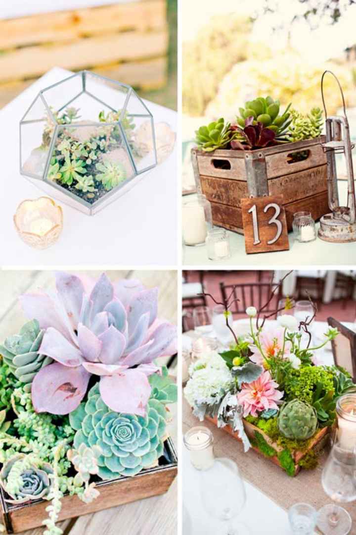 Inspirations déco plantes grasses - 4
