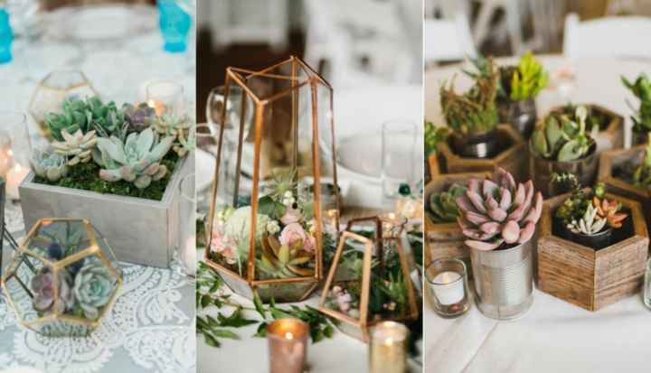 Inspirations déco plantes grasses - 9