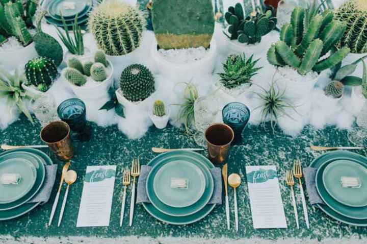 Inspirations déco plantes grasses - 11